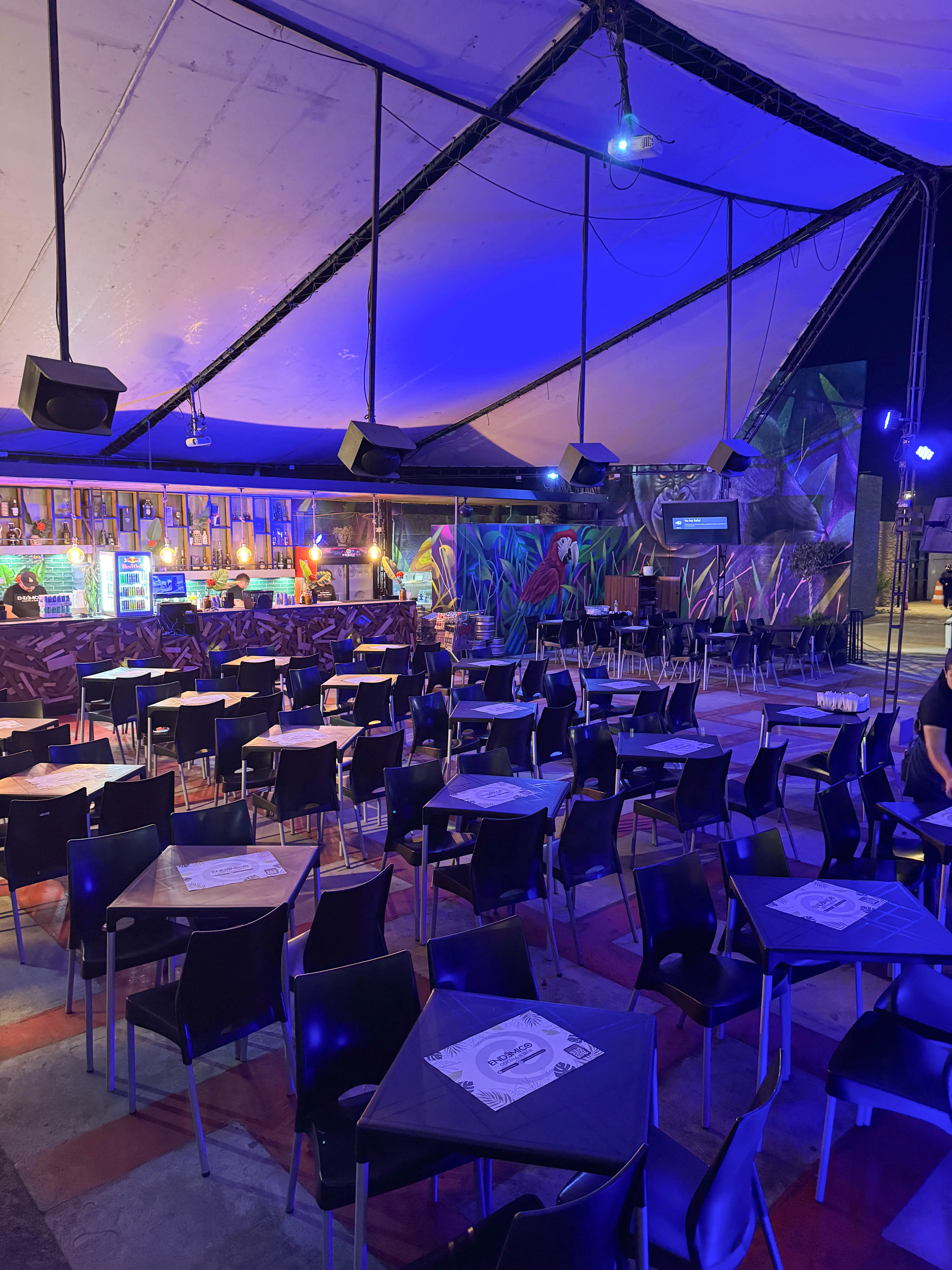 Sector Terraza — 1er Nivel (Barra) — foto 6