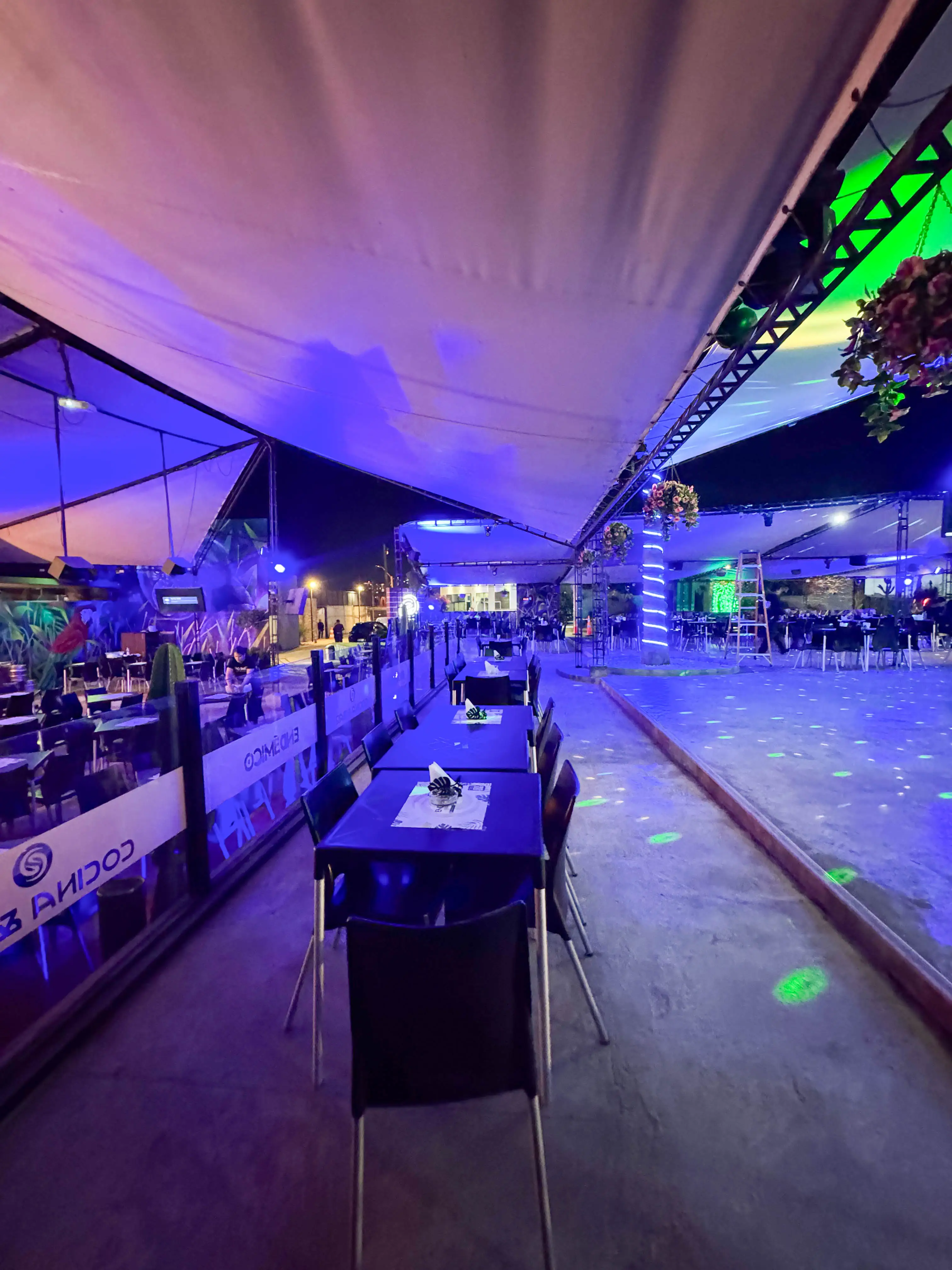 Sector Terraza — 2do Nivel (Pista) — foto 17