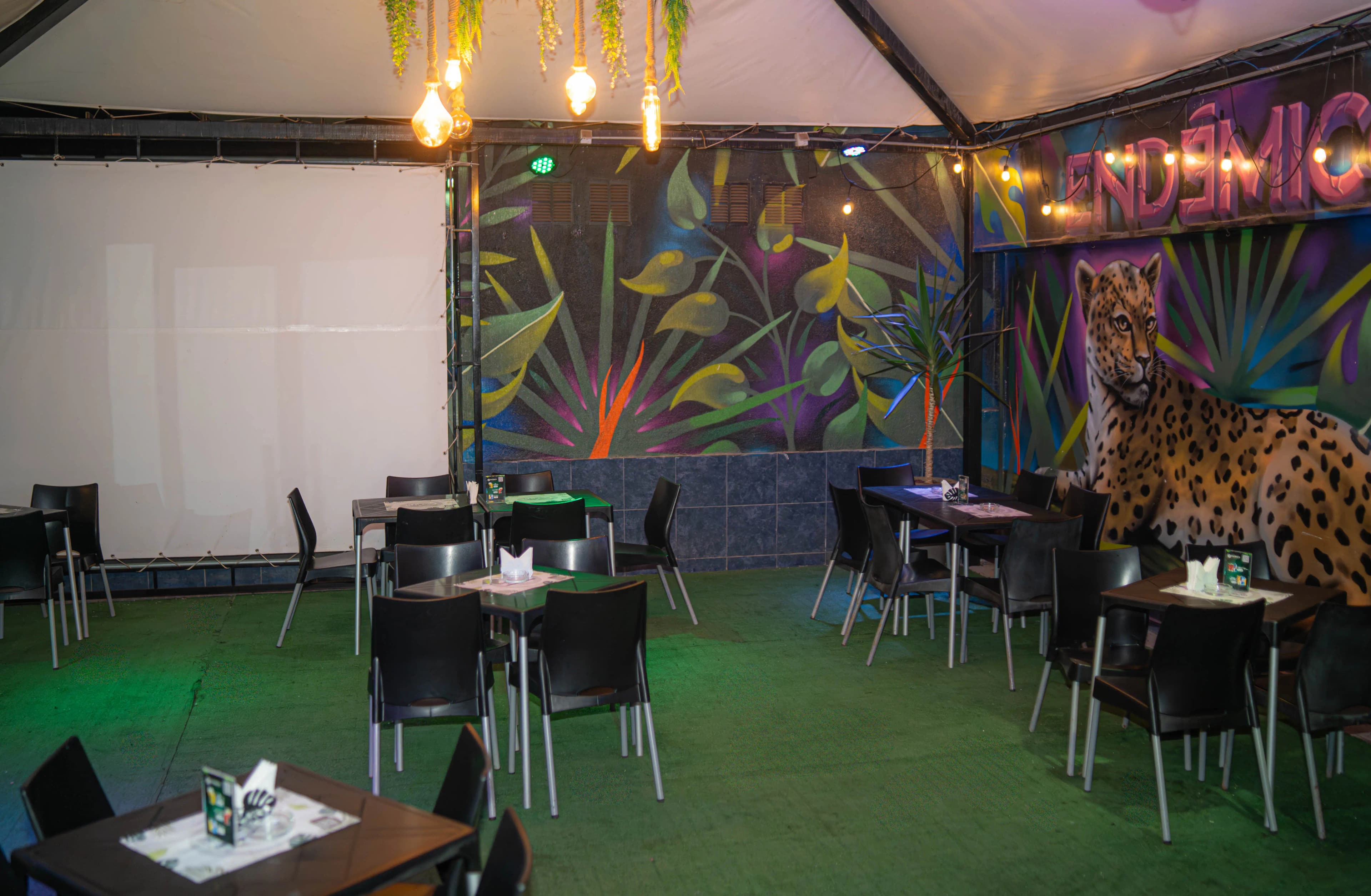 Sector Terraza — 3er Nivel (Escenario) — foto 4
